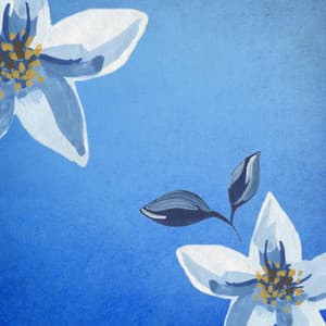 Music for Creative Dreams - Jazz Quintet - Smooth Light Restaurant Music