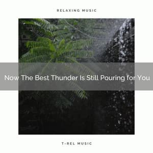 2020 Best: Now The Best Thunder Is Still Pouring for You - Rain Sleepings Sounds
