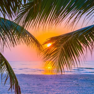 Sunset Hideaway: Ibiza Tropical Nights - DJ Wild Leo
