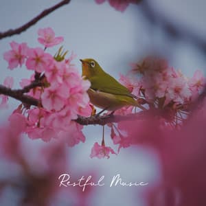 Restful Music: Discover Inner Peace, Yoga Perfect Theraphy, Yoga with Birdies and Crickets, Blissful Relax - Calming Music Ensemble
