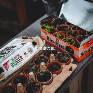 温室の禅 - Música de la Oficina