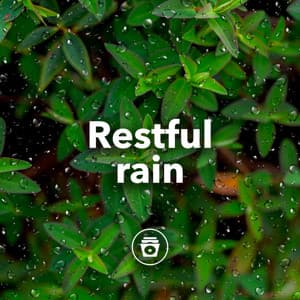 Restful Rain - Rain Recorders