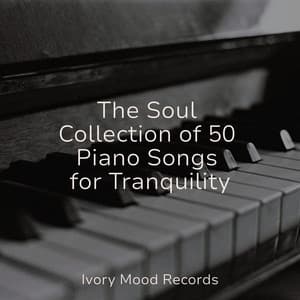 The Soul Collection of 50 Piano Songs for Tranquility - Ivory Mood