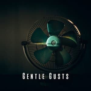 Gentle Gusts: Fan ASMR for Gentle Rejuvenation - Hair Dryer Compilation
