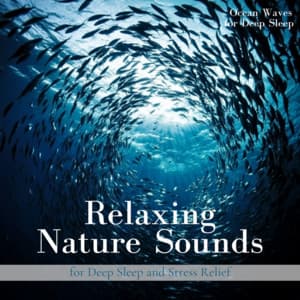 Relaxing Nature Sounds for Deep Sleep and Stress Relief - Ocean Waves for Deep Sleep