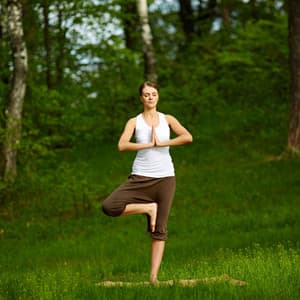 Bird Song Melodies: Peaceful Owl Echoes for a Yoga Retreat - Brown Owl Plays