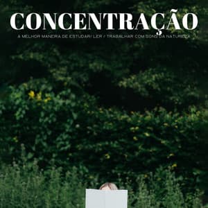 Concentração: A Melhor Maneira De Estudar/ Ler / Trabalhar Com Sons Da Natureza - Concentracion Examenes