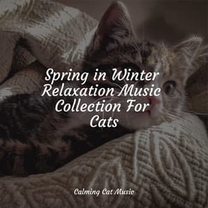 Spring in Winter Relaxation Music Collection For Cats - Relaxmycat
