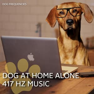 Dog at Home Alone 417 Hz Music - Dog Music