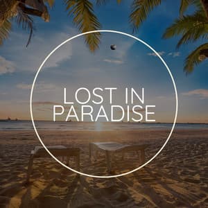 Lost in Paradise - Concentration Help