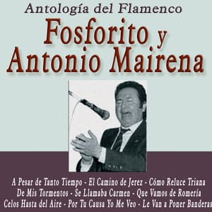 Antología del Flamenco: Fosforito y Antonio Mairena - Fosforito