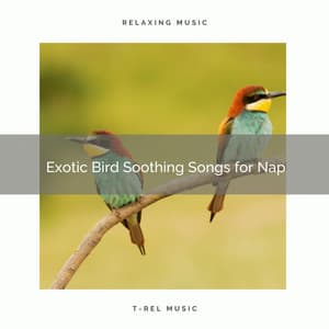 2021 New: Exotic Bird Soothing Songs for Nap - Sleep Sound Library