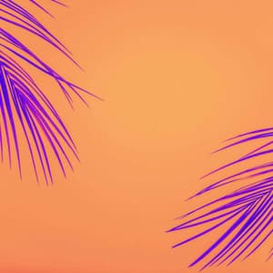 Backdrop for Thinking Shadows - Jazzy Mornings