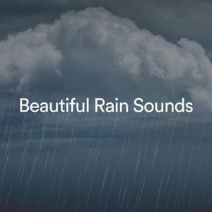 Beautiful Rain Sounds - Weather Factory