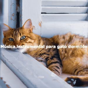 Música instrumental para gato dormilón - Música para Leer