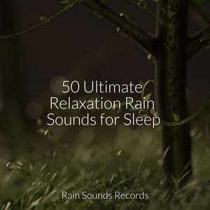 50 Ultimate Relaxation Rain Sounds for Sleep - Relaxing Music
