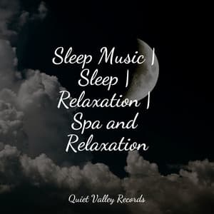 Sleep Music | Sleep | Relaxation | Spa and Relaxation - Sleep Makers Samples