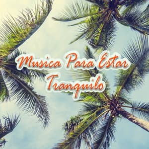 Musica Para Estar Tranquilo - Relax Vibes