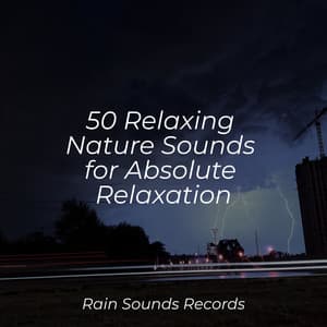 50 Relaxing Nature Sounds for Absolute Relaxation - Lucid Dreaming Music