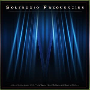 Solfeggio Frequencies: Ambient Healing Music, 528Hz, Theta Waves, 1 Hour Meditation and Music for Wellness - Solfeggio Healing Frequencies