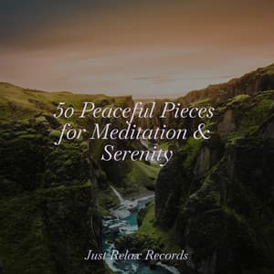 50 Peaceful Pieces for Meditation & Serenity - Música Para Meditar y Relajarse