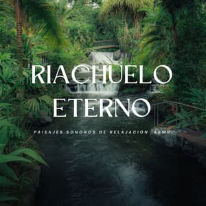 Riachuelo Eterno: Paisajes Sonoros De Relajación - ASMR Dinamarca