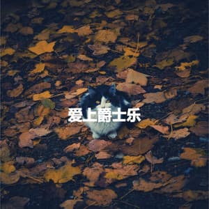 爱上爵士乐 - Feel Good Jazz