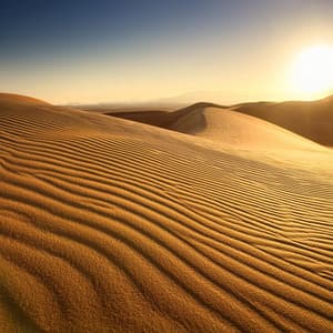 Música Fluida: Patrones Armónicos Suaves - Canela Dorada