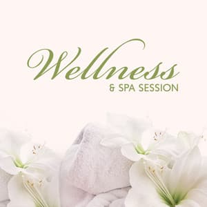 Wellness & Spa Session - Real Massage Music Collection