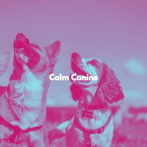 Calm Canine - Happy Sunday Morning Music