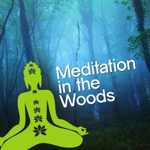 Meditation in the Woods - Nature Sounds Meditation