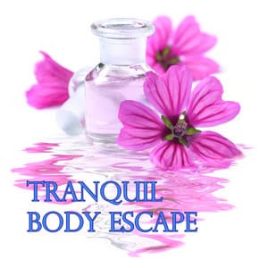 Tranquil Body Escapes - Chakra's Dream