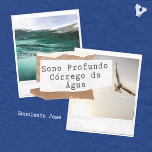 Sono Profundo Córrego da Água - Mantra para Meditar