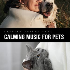 Keeping Things Easy - Calming Music For Pets