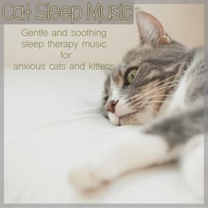 Cat Sleep Music: Gentle and Soothing Sleep Therapy Music for Anxious Cats and Kittens - RelaxMyCat