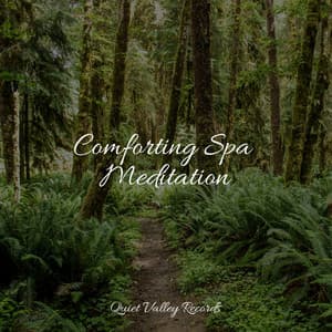 Comforting Spa Meditation - Studying Music