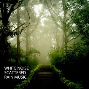 White Noise: Scattered Rain Music - Relaxing Music