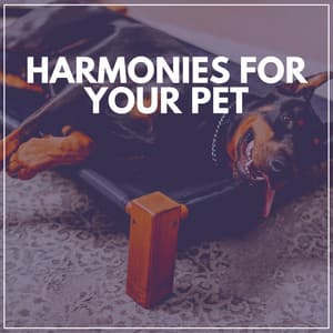 Harmonies for Your Pet - Calm Dog Music