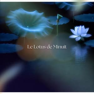 Le Lotus de Minuit: Aube Éthérée - Musique Douce Academy