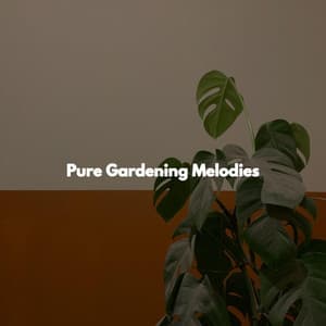 Pure Gardening Melodies - Jazz para Oficinas