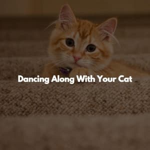 Dancing Along With Your Cat - Working at Home