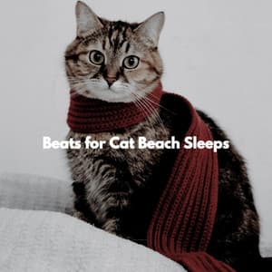 Beats for Cat Beach Sleeps - Jazz de Lujo