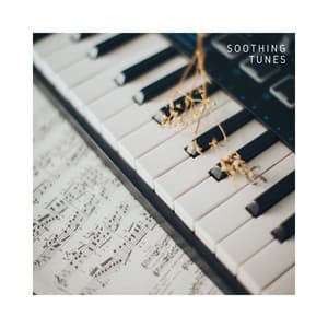 Soothing Tunes: Relaxing Piano Instrumentals - Piano Music Masters