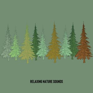 Relaxing Nature Sounds: Forest and Brown Noise, Loopable - Granular Brown Noise
