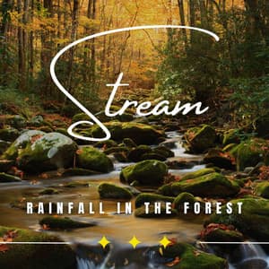 Rainy Retreat: Binaural Rain Soundscapes - Rainded