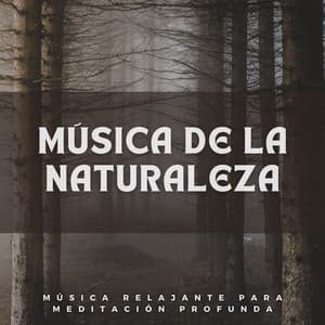 Música De La Naturaleza: Música Relajante Para Meditación Profunda - Naturaleza Caldwell