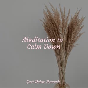 Meditation to Calm Down - Dormir