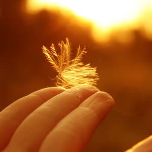 Radiant Jazz Horizons: Melodic Explorations of Soundscapes - Coffee Shop Piano Jazz Playlist