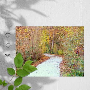 Music for Sleepy Sundays - Coffee Shop Chill Out Beats