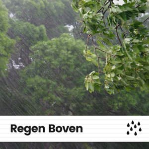 Regen Boven - Geluiden van de Regen
